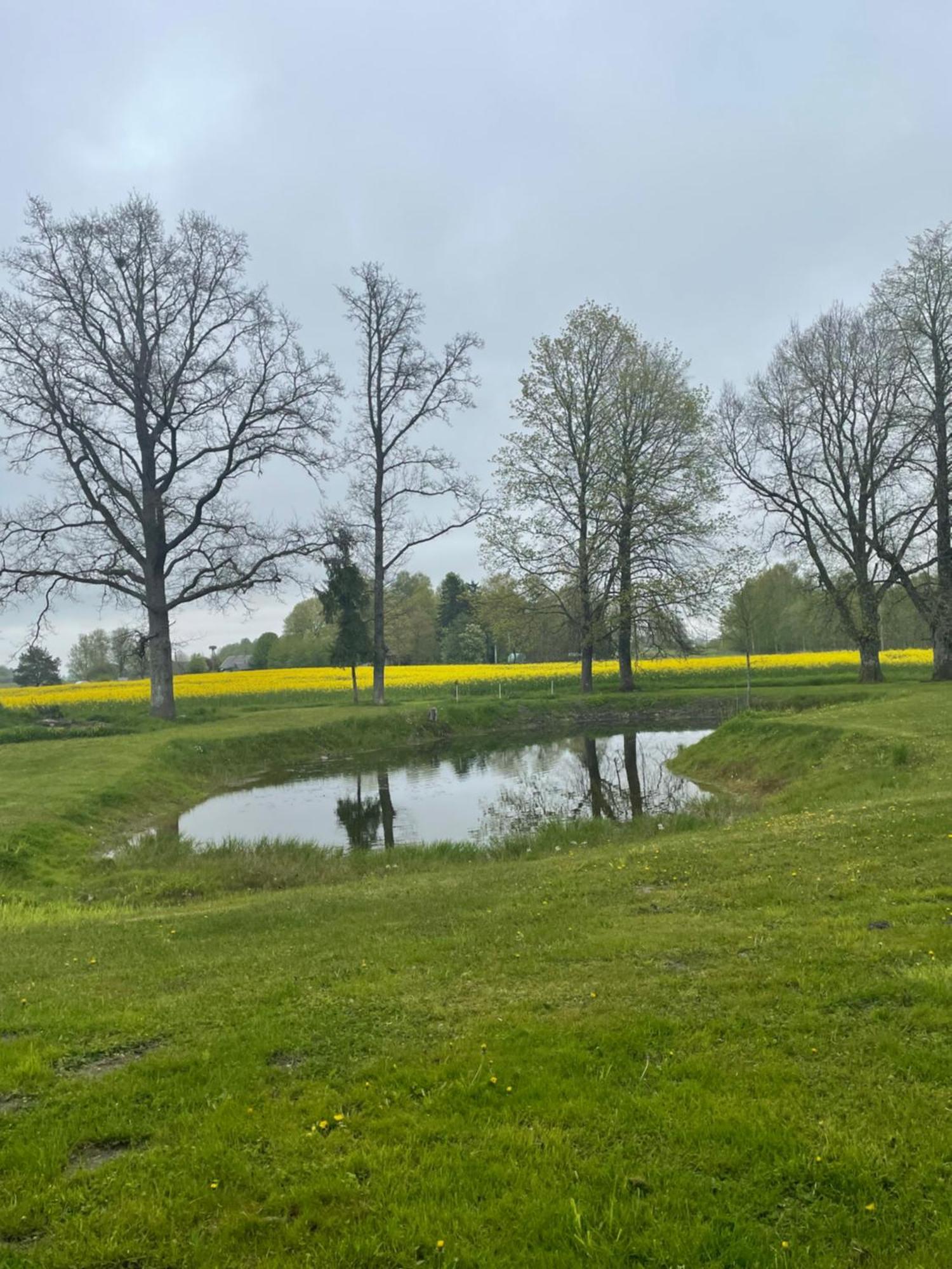 Penzion Lauku Viesu Maja Bajari Rucava Exteriér fotografie
