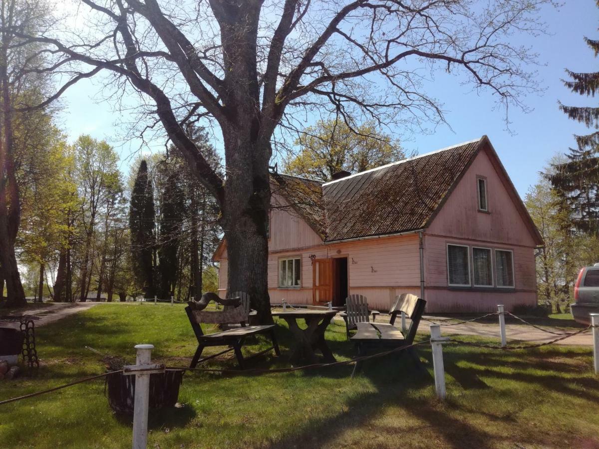 Penzion Lauku Viesu Maja Bajari Rucava Exteriér fotografie